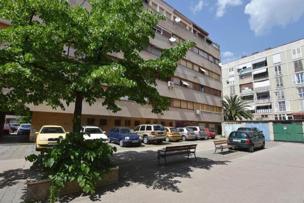 Roko & Borna Self Check - In Apartment Zadar Ngoại thất bức ảnh